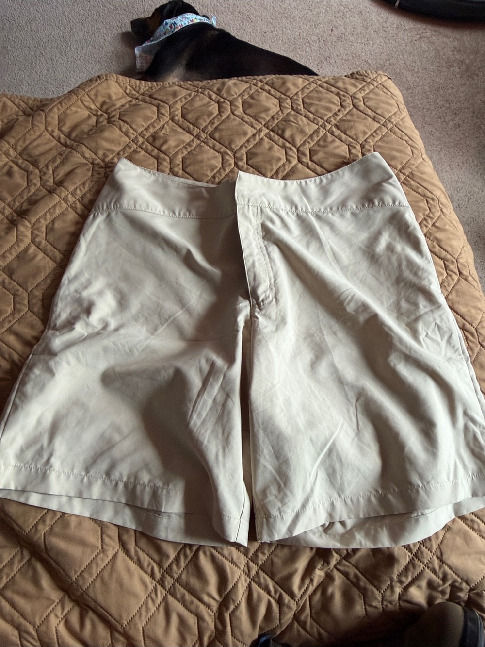 Patagonia Womens Patagonia Duway Shorts Style 57260 Sesame Tan Beige Athletic 14